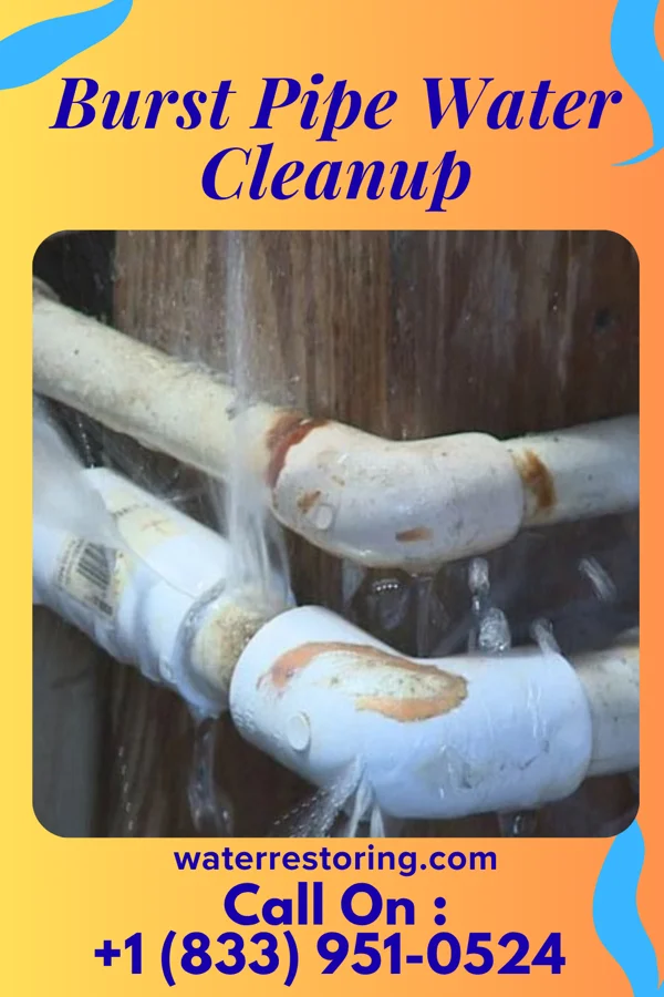 Burst Pipe Water Cleanup in Wilkesboro, NC