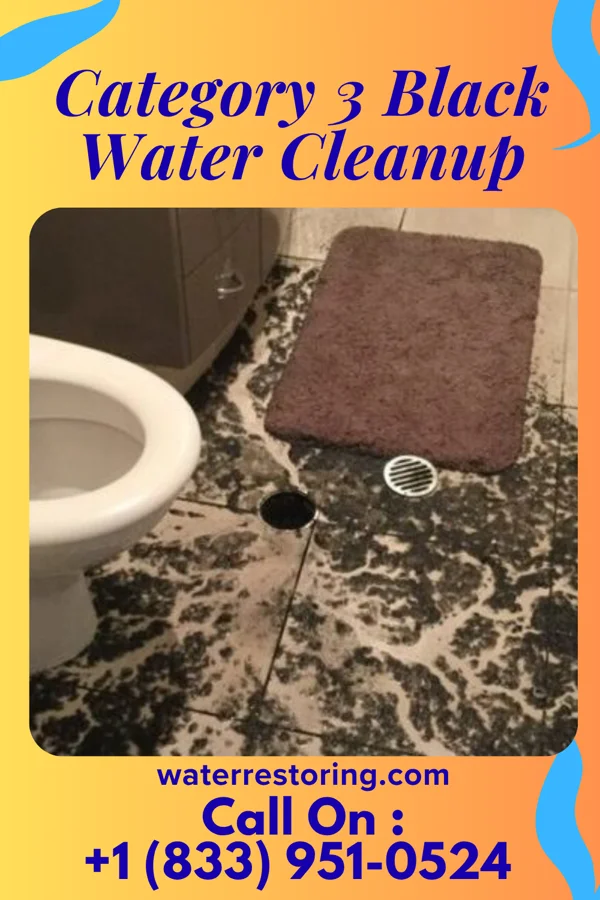 Category 3 Black Water Cleanup in Wilkesboro, NC