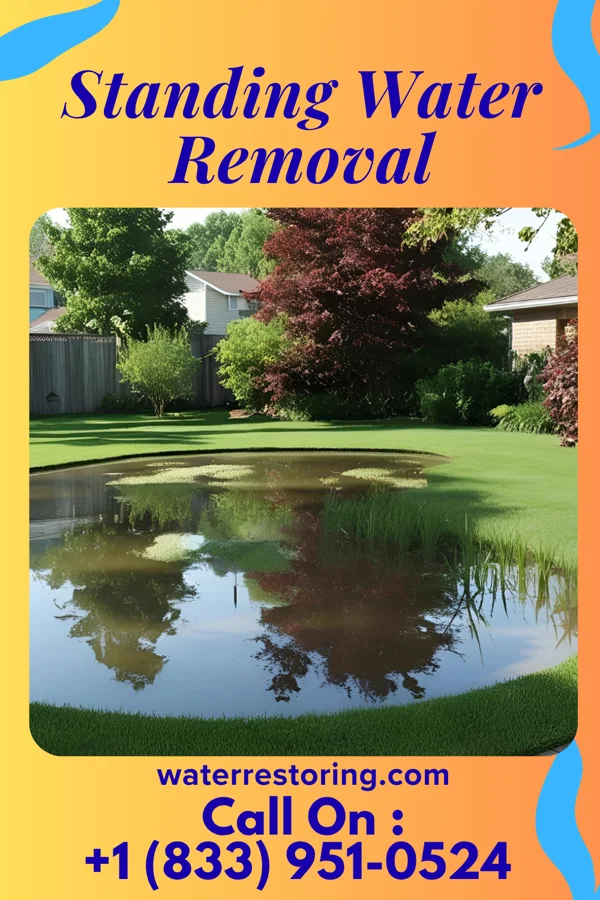 Standing Water Removal in Wilkesboro, NC